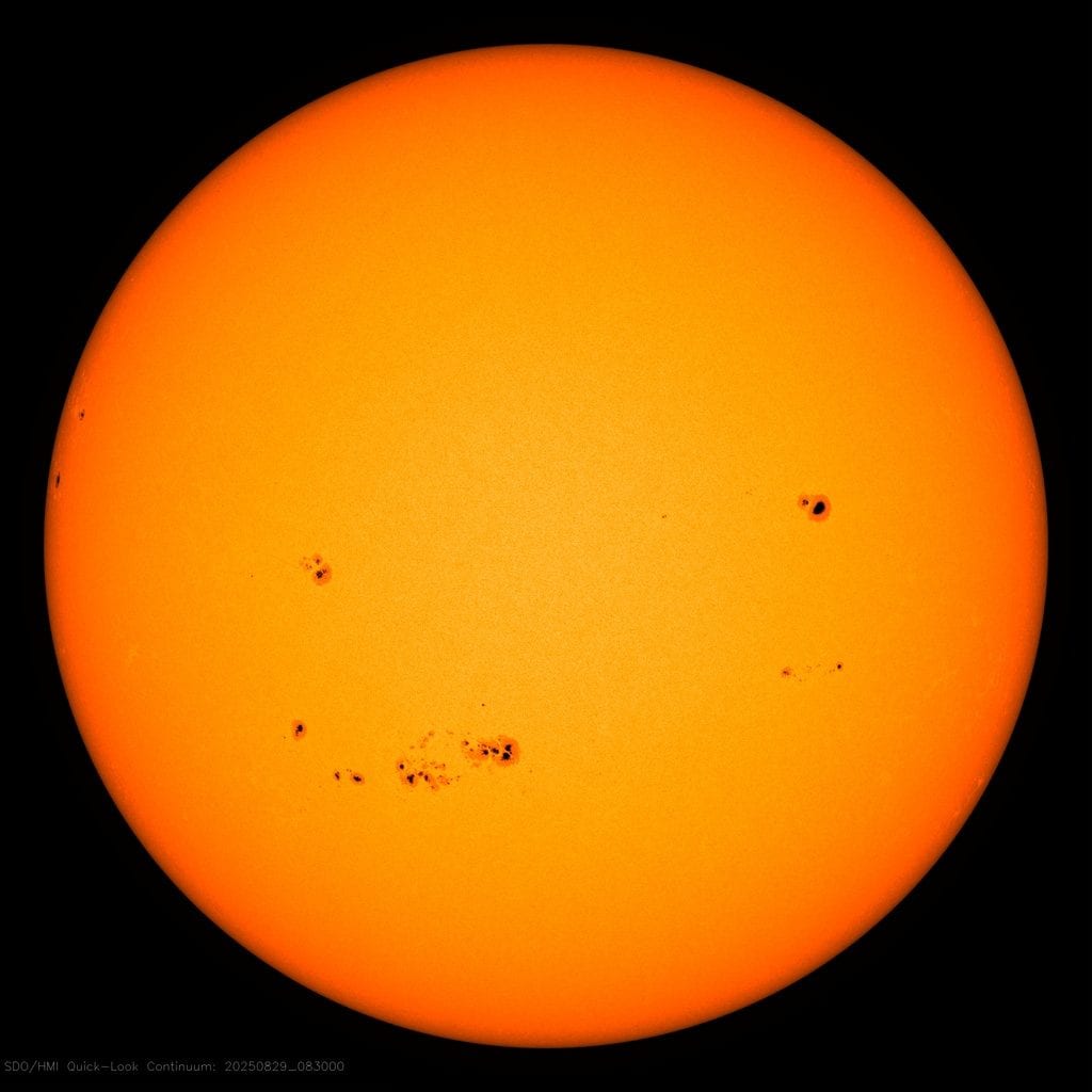 Il Sole oggi venerdì 29 agosto 2025. Credit: NASA/SDO