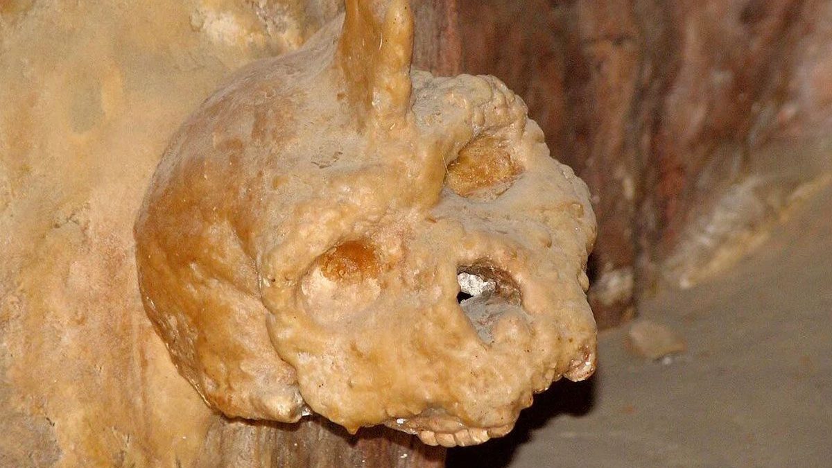 Il teschio di Petralona, ritrovato nel 1960 attaccato alla parete di una grotta a 50 chilometri da Salonicco, in Grecia / Credit: Wikipedia