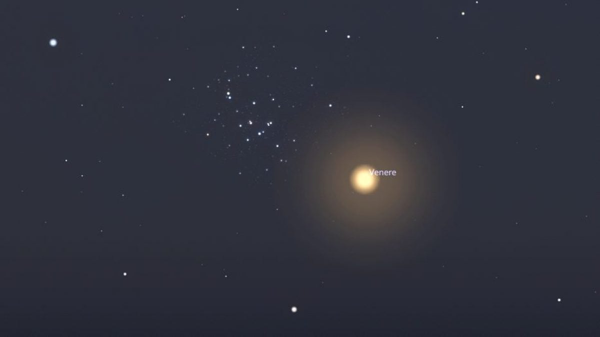 M44 e Venere. Credit: Stellarium