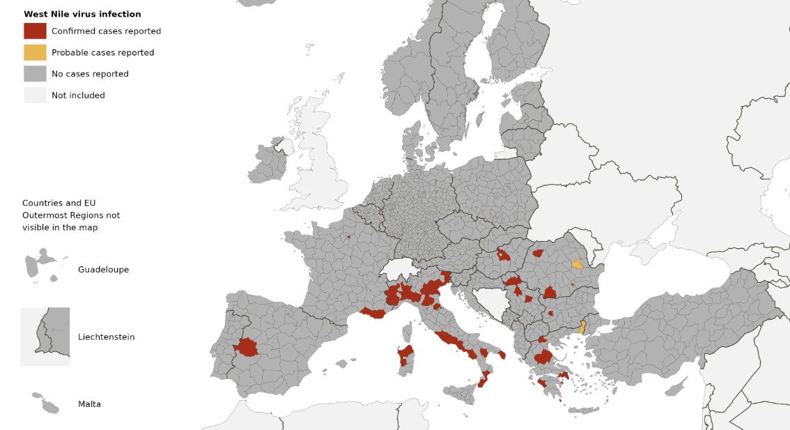 Le infezioni da virus West Nile segnalate in Europa al 13 agosto 2025 / Credit: ECDC