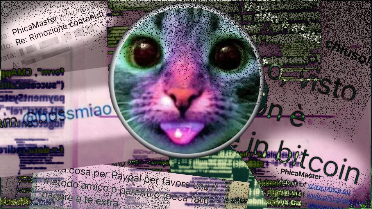 Cosa non torna nella difesa di Boss Miao: le nostre dieci domande all'admin di Phica