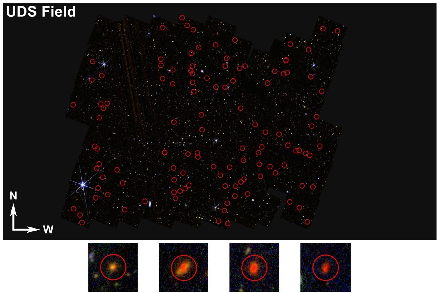 Le candidate galassie primordiali scoperte grazie ai dati del telescopio spaziale James Webb / Credit: Università del Missouri