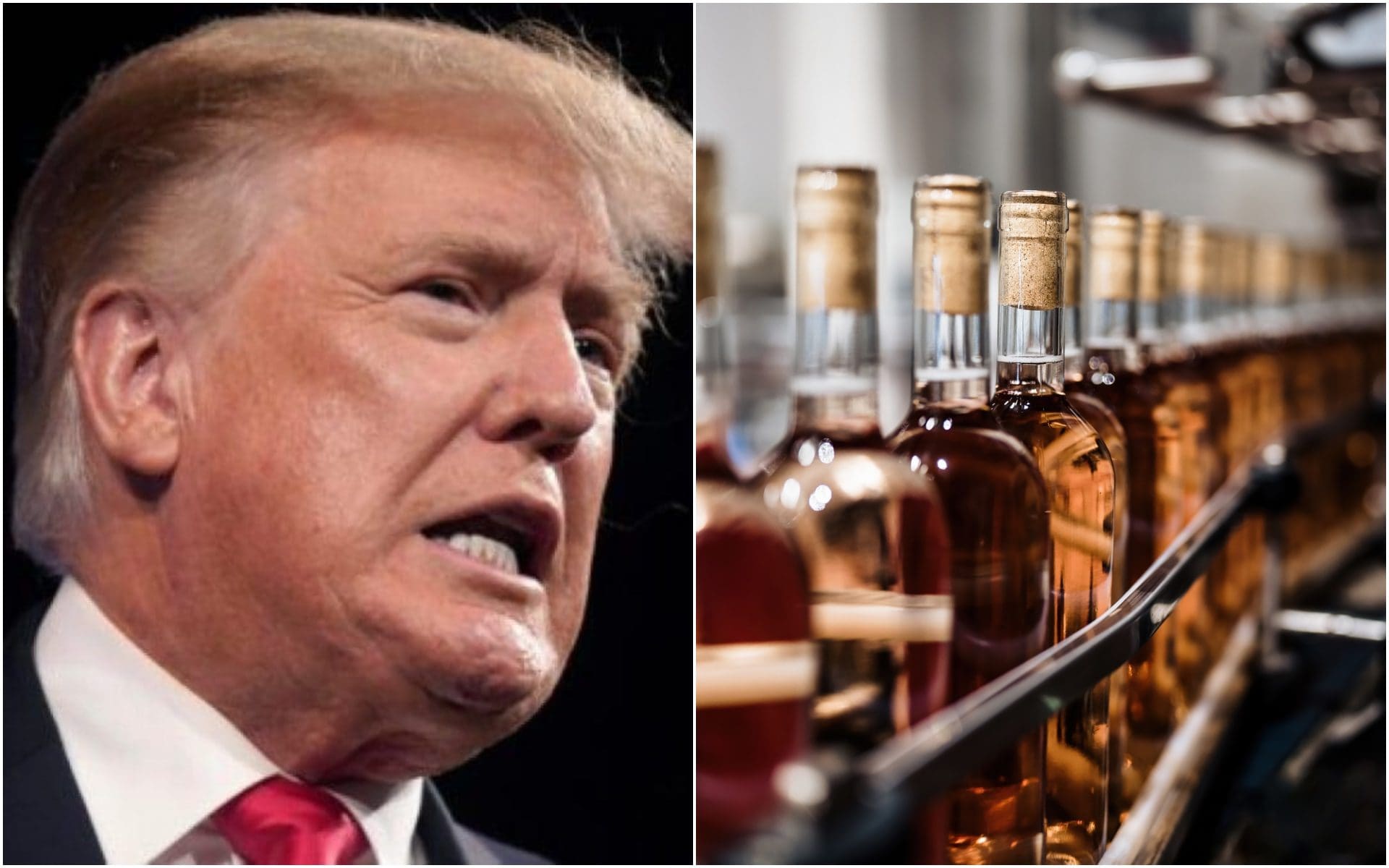 Uno studio sugli effetti dell'alcol è stato bloccato da Trump: cosa aveva scoperto