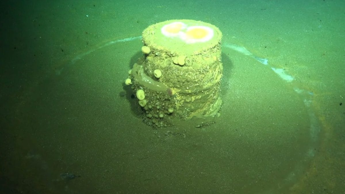 Un anello bianco attorno a un barile di rifiuti tossici gettato nell’Oceano Pacifico. Credit: Crediti: Schmidt Ocean Institute