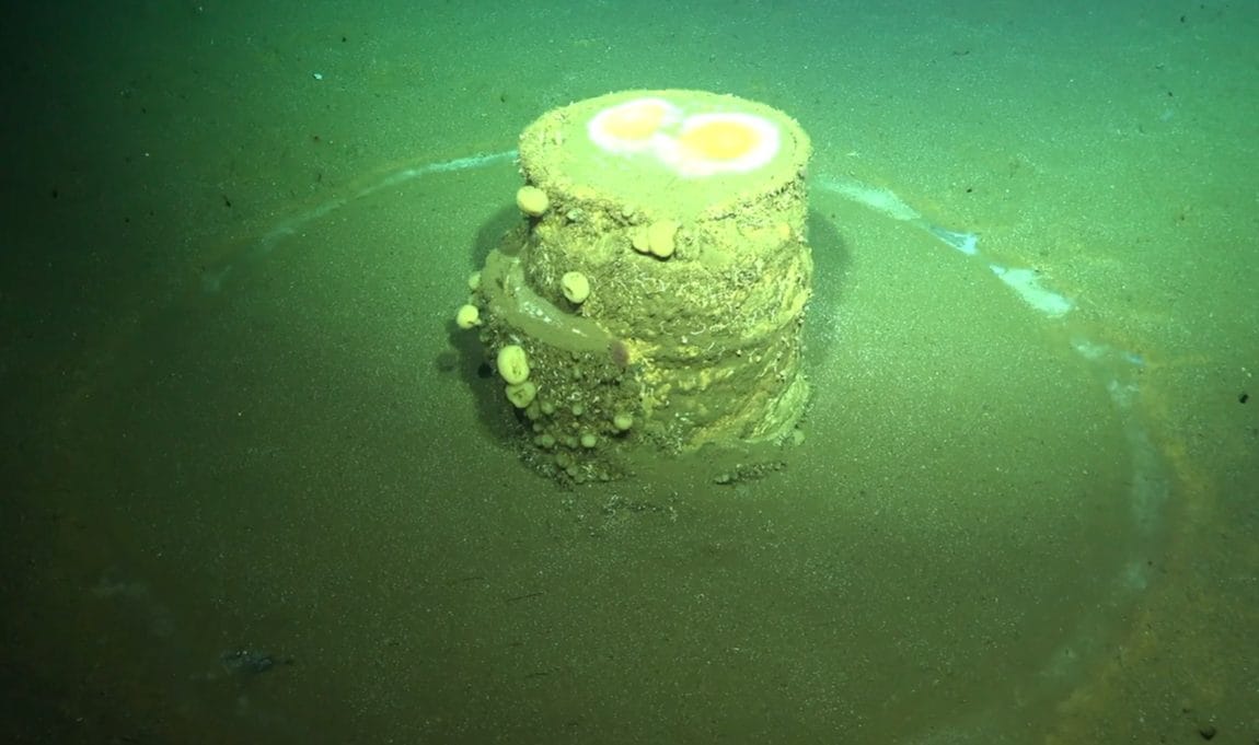 Misteriosi anelli bianchi apparsi attorno a barili di rifiuti tossici gettati in mare: non si possono togliere