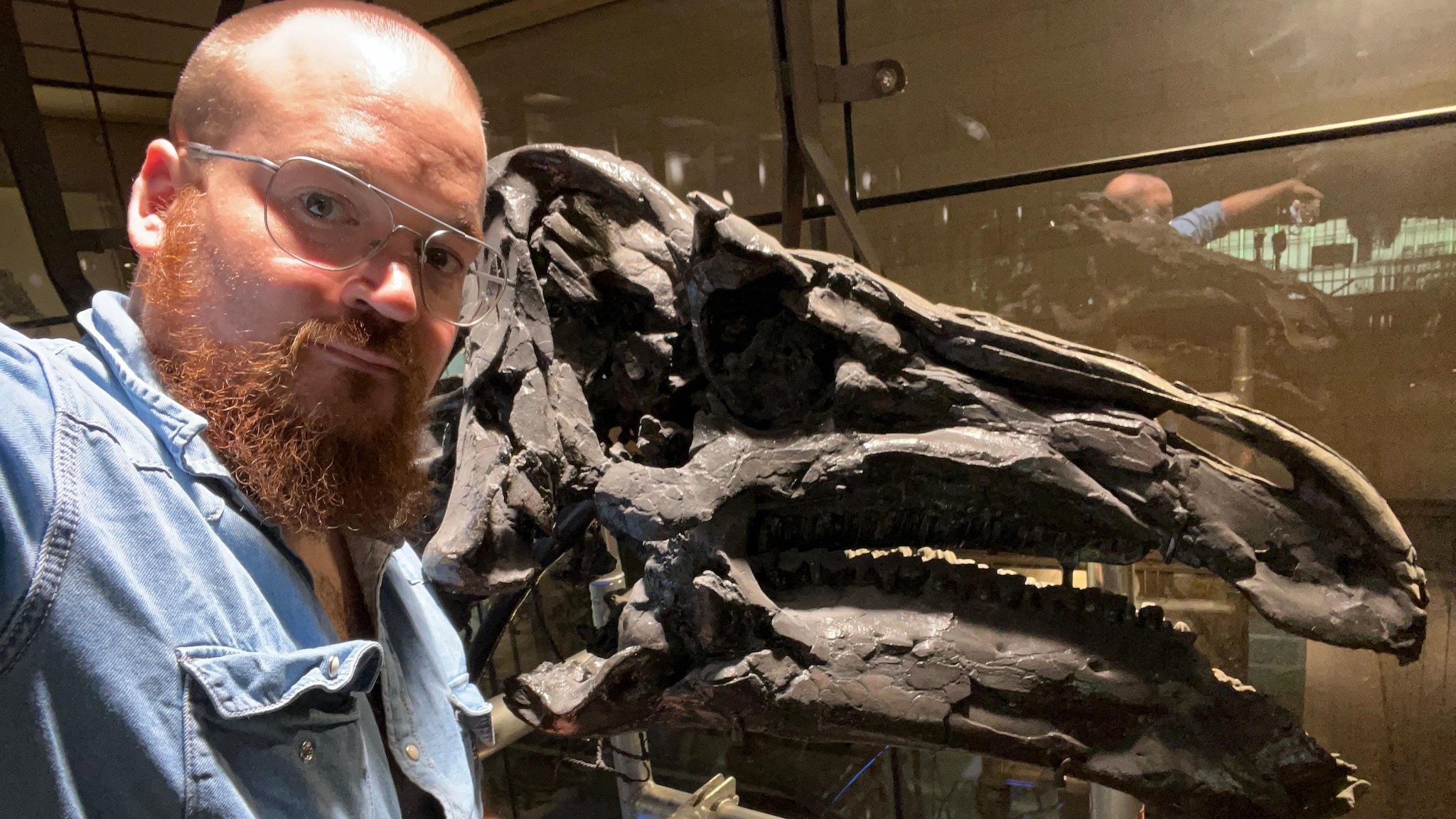 “Studiare dinosauri è un sogno, vorrei cercarli in Antartide”: il racconto del paleontologo Filippo Bertozzo