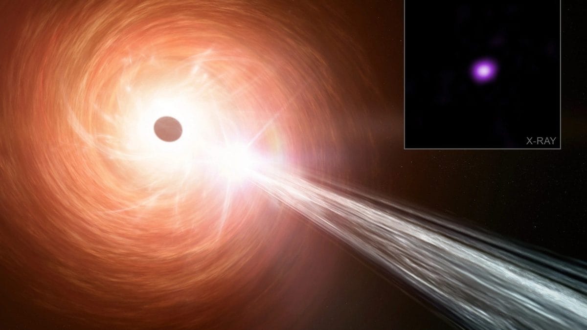 Rappresentazione artistica del buco nero supermassiccio. Credit: X–ray: NASA/CXC/INAF–Brera/L. Ighina et al.; Illustrazione: NASA/CXC/SAO/M. Weiss; Post Produzione: NASA/CXC/SAO/N. Wolk