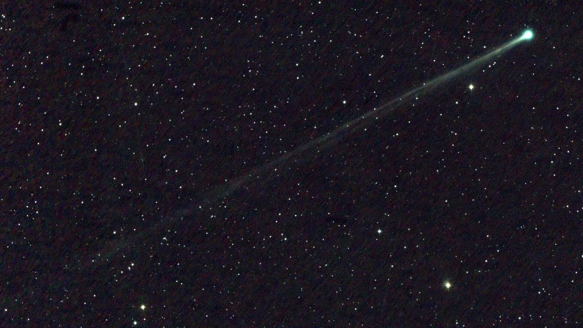 Cometa SWAN25B (nome provvisorio). Credit: Michael Mattiazzo