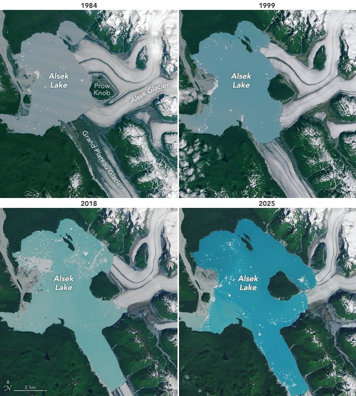 Lo scioglimento del ghiacciaio Alsek nel corso del tempo. Credit: Earth Observatory/NASA