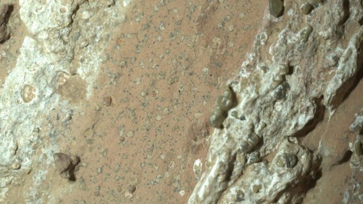 Le rocce sui quali sono state rilevate le potenziali biofirme su Marte. Credit: NASA/JPL–CALTECH/MSSS