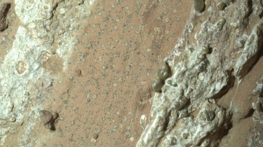 Possibili segni di vita su Marte, annuncio storico della NASA: ma non sono gli alieni che pensi