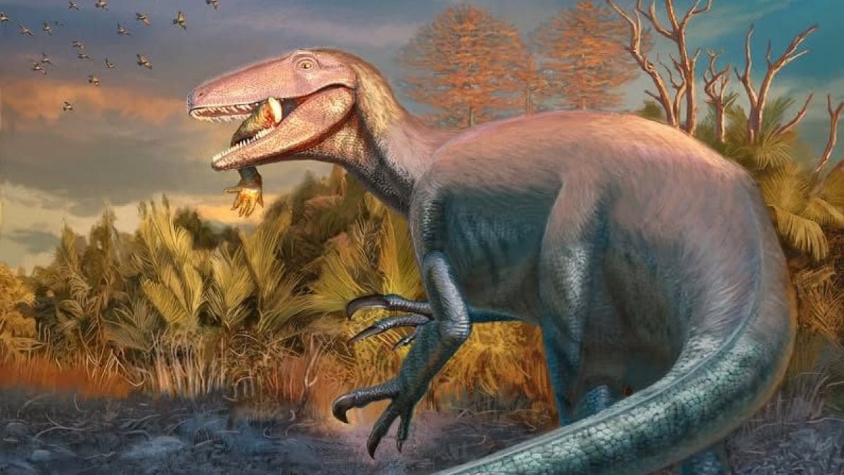 Illustrazione del megaraptor Joaquinraptor casali. Credit: Andrew McAfee / Carnegie Museum of Natural History
