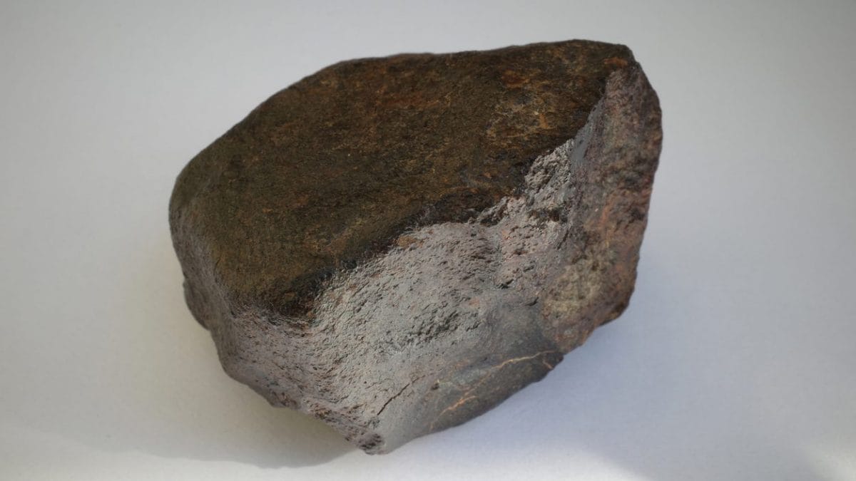 Una condrite. Credit: iStock