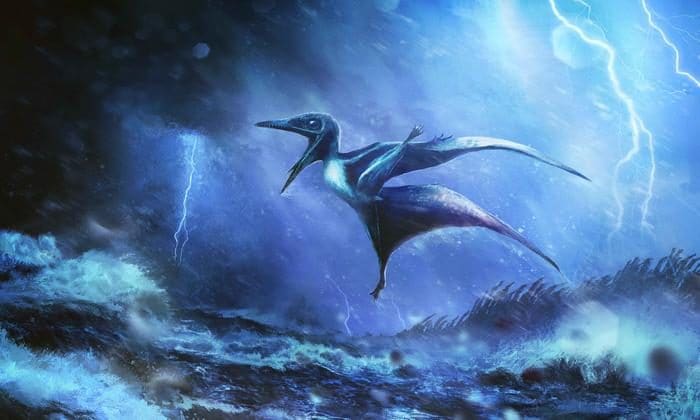 Rappresentazione artistica di un piccolo pterosauro esposto a una violenta tempesta. Credit: Rudolf Hima