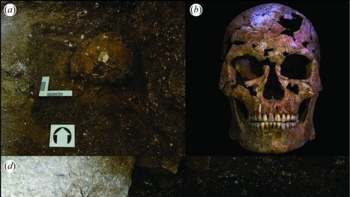 Il cranio e altre ossa dell’uomo ucciso 12.000 anni fa. Credit: Stimpson et al., Proc. R. Soc. B, 2025