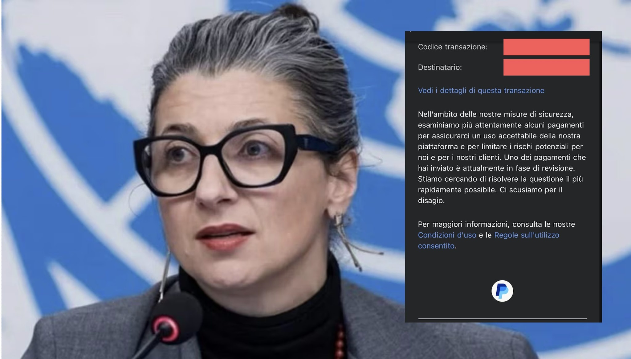 Cosa succede se scrivi “Francesca Albanese” quando usi PayPal