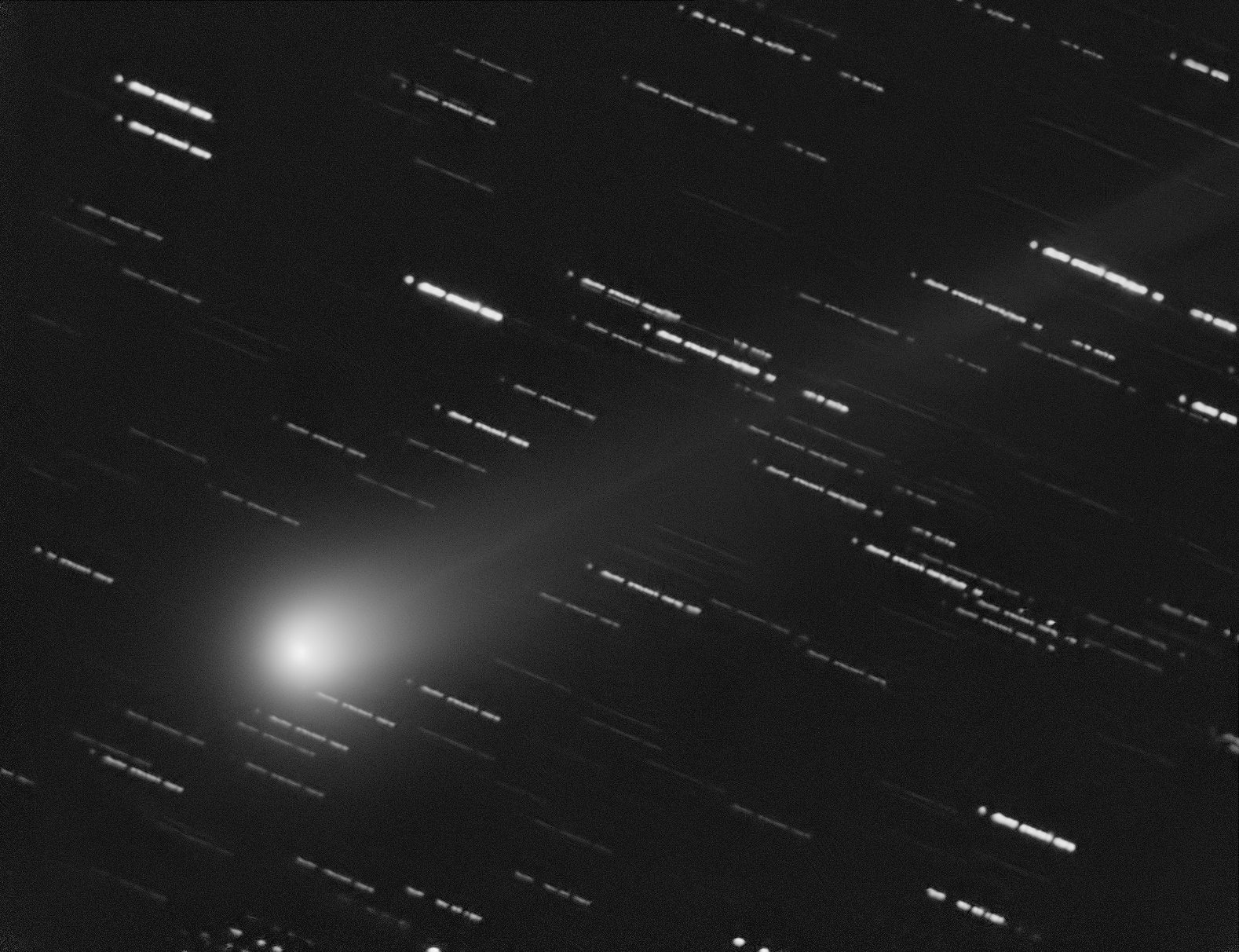 La cometa C/2025 A6 Lemmon fotografata nel cielo di Roma. Credit: Fabrizio Montanucci