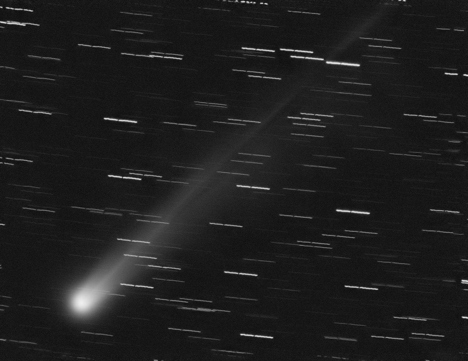 La cometa C/2025 A6 (Lemmon): Credit: Fabrizio Montanucci