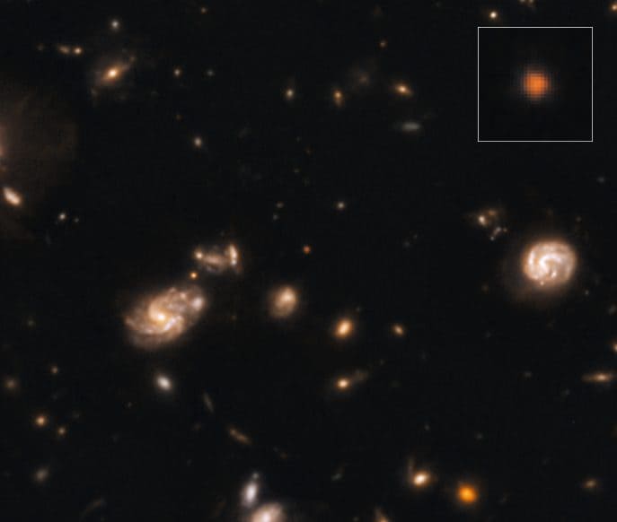 Capotauro. Credit: Giuseppe Capriotti/Giovanni Gandolfi/NASA / ESA / CSA / JWST / CEERS (PI: Steven Finkelstein)