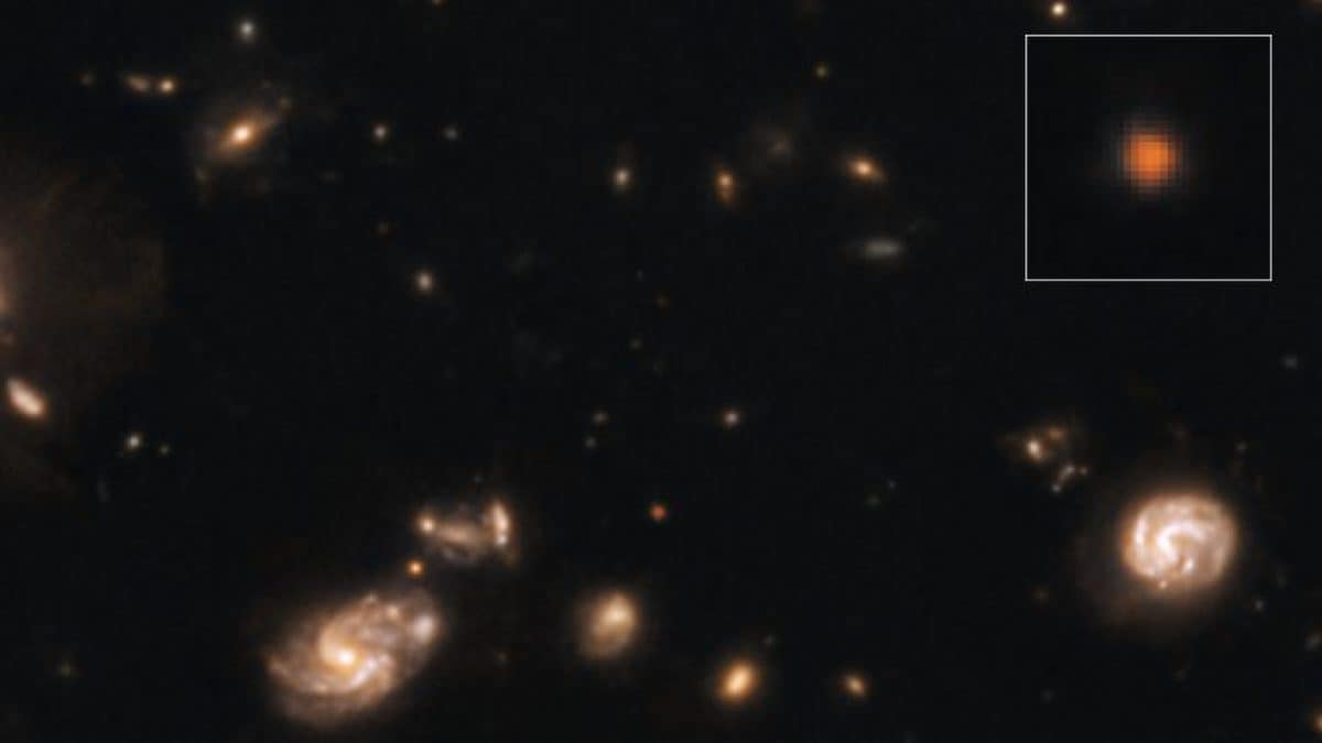 Capotauro. Credit: Giuseppe Capriotti/Giovanni Gandolfi/NASA / ESA / CSA / JWST / CEERS (PI: Steven Finkelstein)
