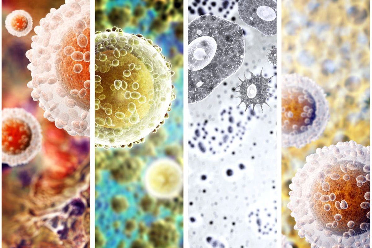 Batteri nascosti nei tumori producono una sostanza chiave per sconfiggere il cancro