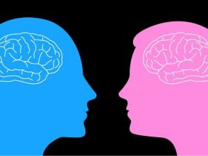 Il cervello degli uomini si restringe più velocemente di quello delle donne: lo studio