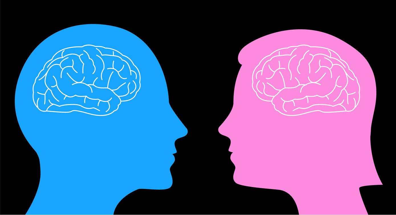 Il cervello degli uomini si restringe più velocemente di quello delle donne: lo studio