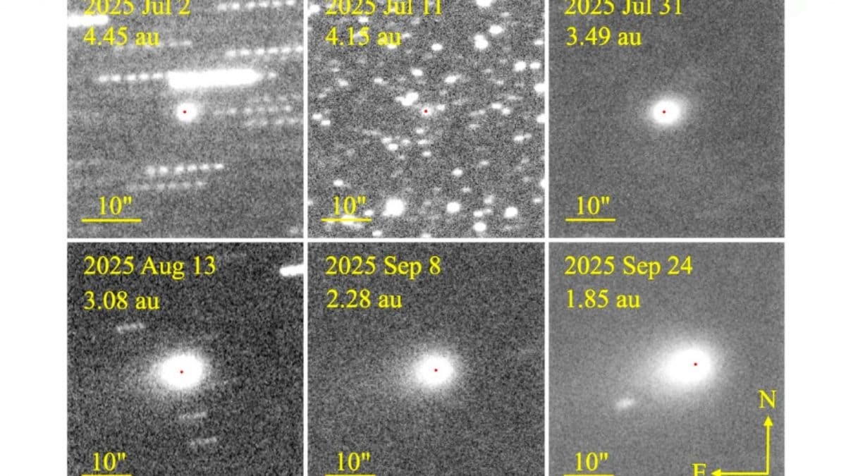 L’evoluzione della coda di 3I/ATLAS. Credit: Jewitt / Luu / arXiv