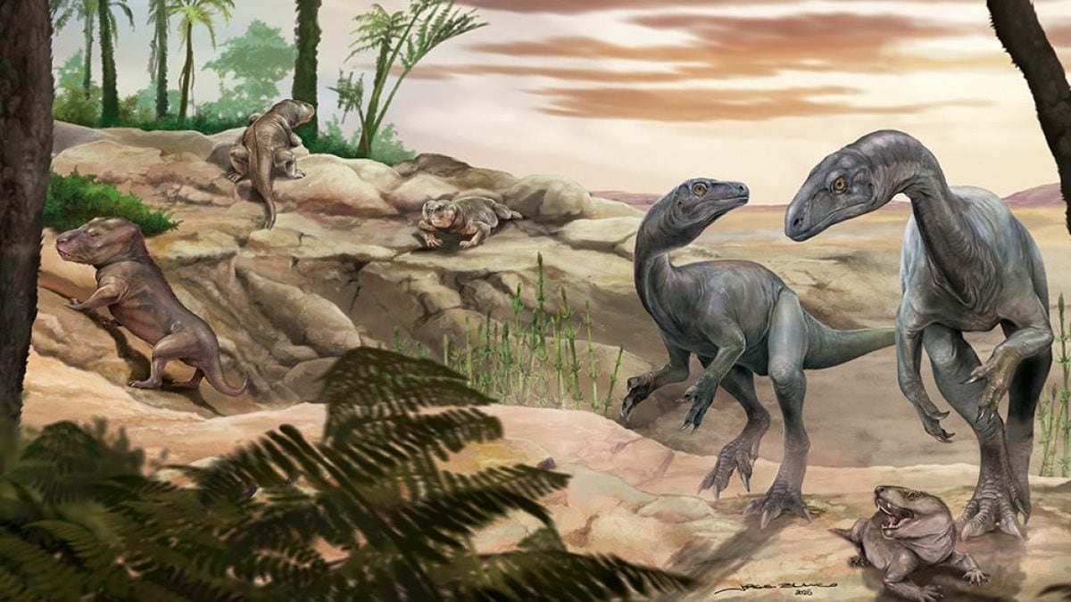 Rappresentazione artistica di Huayracursor jaguensis, un antico "collo lungo". Credit: Jorge Blanco