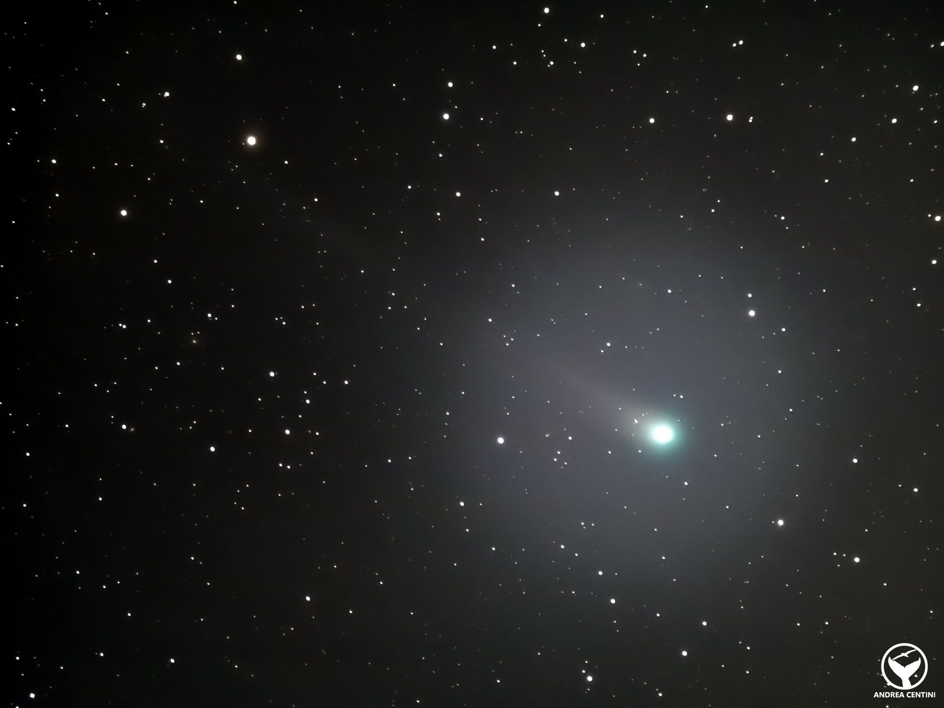 La cometa C/2025 A6 Lemmon nel cielo dei Castelli Romani. Credit: Andrea Centini