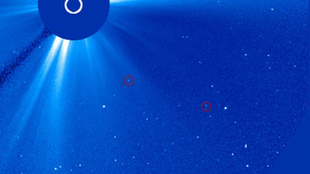 Le due comete si avvicinano al Sole prima di essere distrutte. Credit: SOHO/NASA/ESA