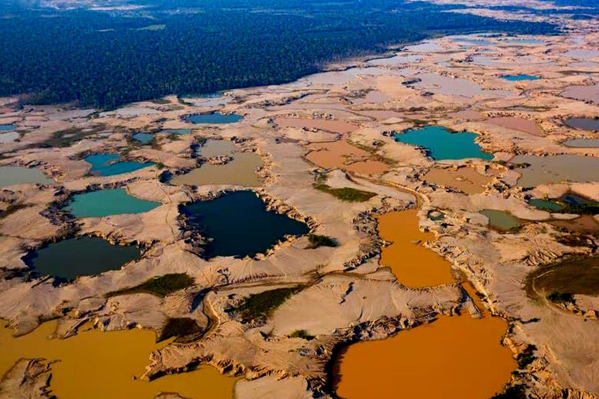 In Amazzonia cresce l’oro illegale: cosa sta succedendo nella foresta più grande del mondo