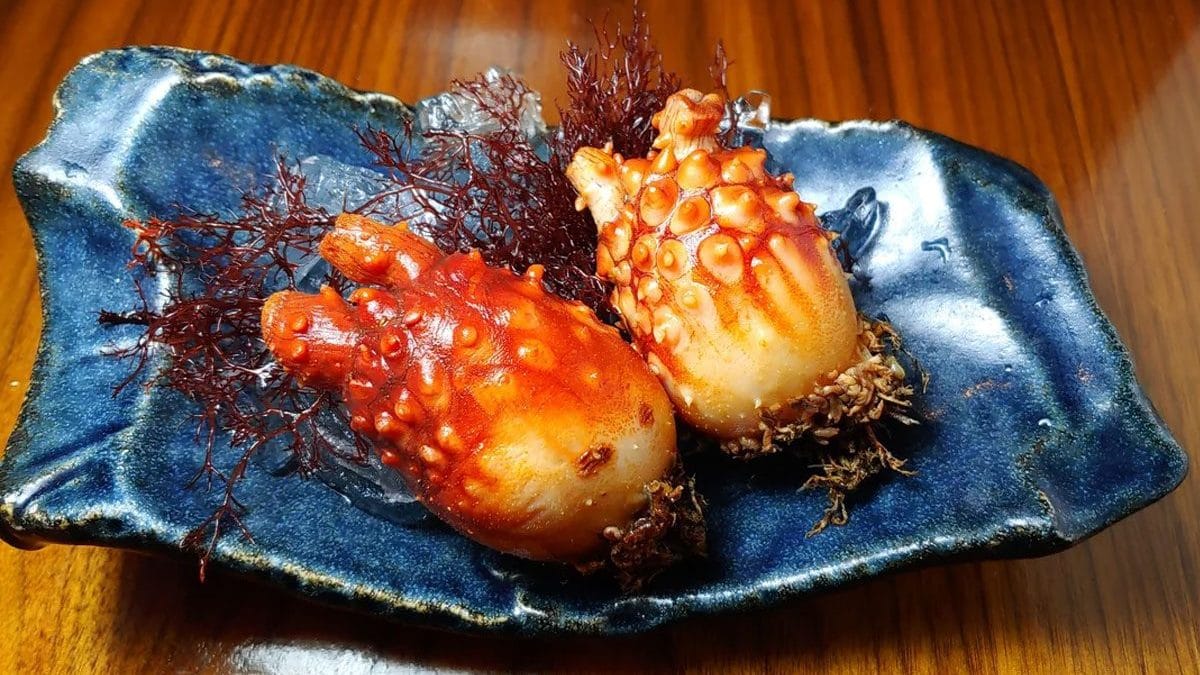 L’ananas di mare (Halocynthia roretzi), un’ascidia commestibile consumata soprattutto in Giappone come sashiimi / Photo: Reddit