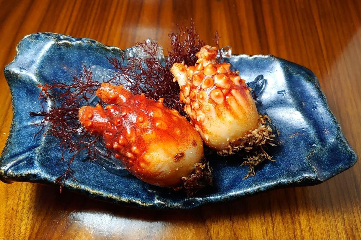 Un curioso frutto di mare migliora memoria e salute del cervello nei test di laboratorio