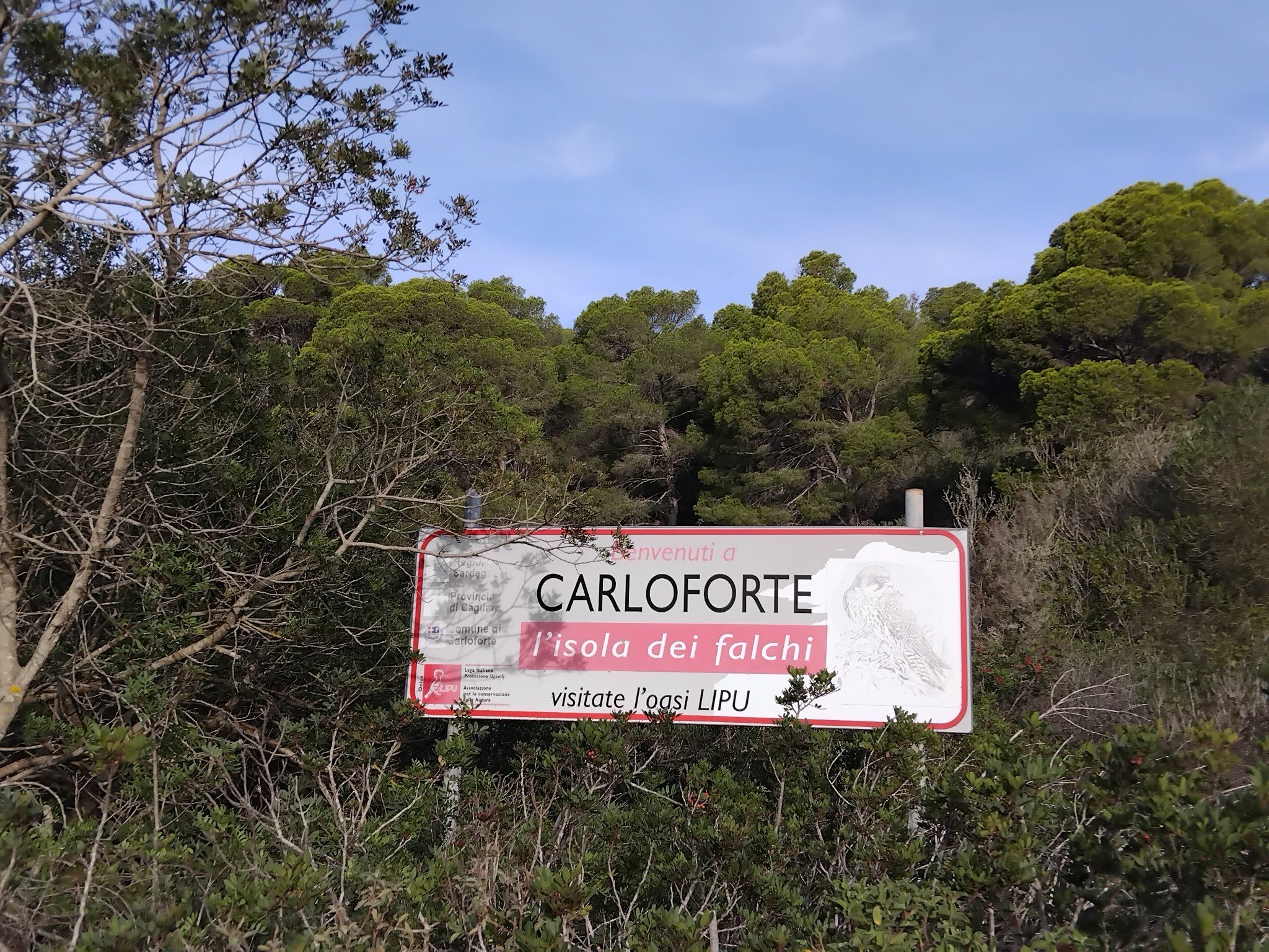 Oasi Lipu di Carloforte. Credit: Marta Visentin