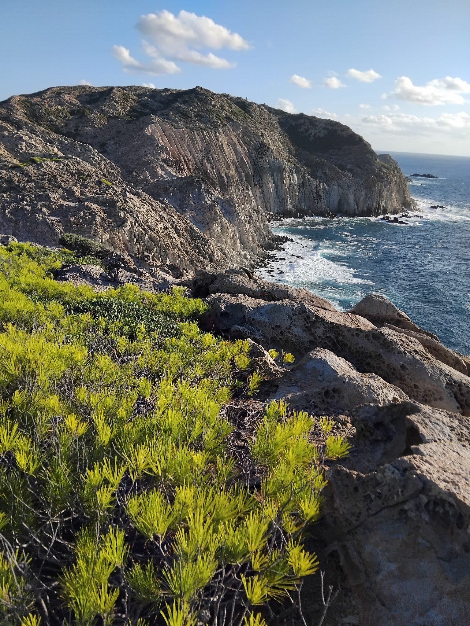 Isola di San Pietro. Credit: Marta Visentin