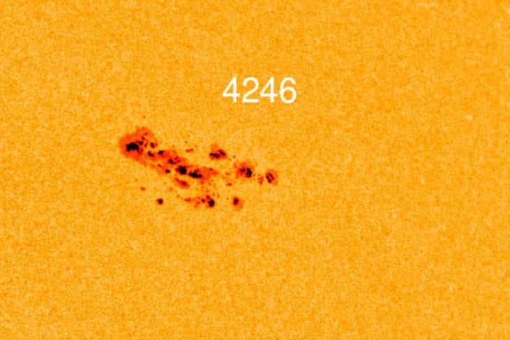 La macchia solare AR4246. Credit: NASA/SDO