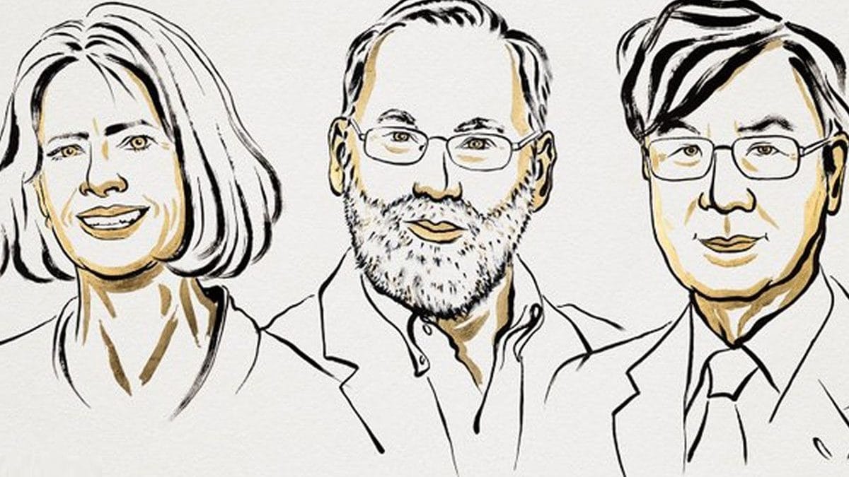 Mary E. Brunkow, Fred Ramsdell and Shimon Sakaguchi, vincitori del Nobel per la Medicina 2025