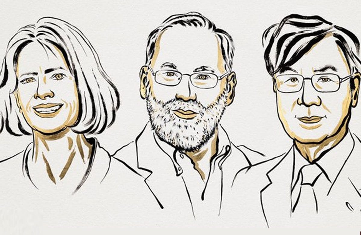 Nobel per la Medicina 2025 a Brunkow, Ramsdell e Sakaguchi per le scoperte sulla tolleranza immunitaria