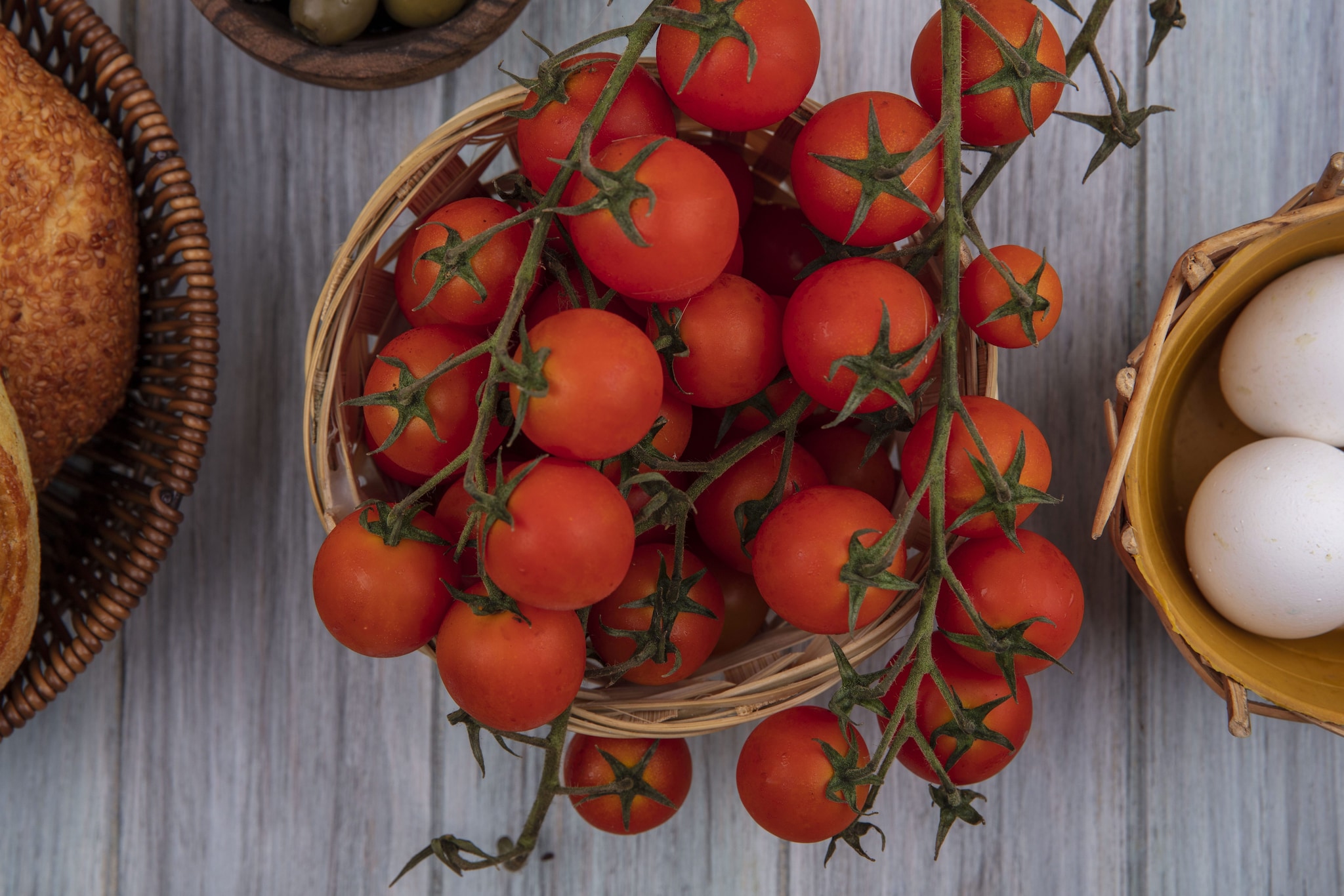 Perché tutti parlano del rischio salmonella con i pomodori italiani: cosa dice davvero il report europeo