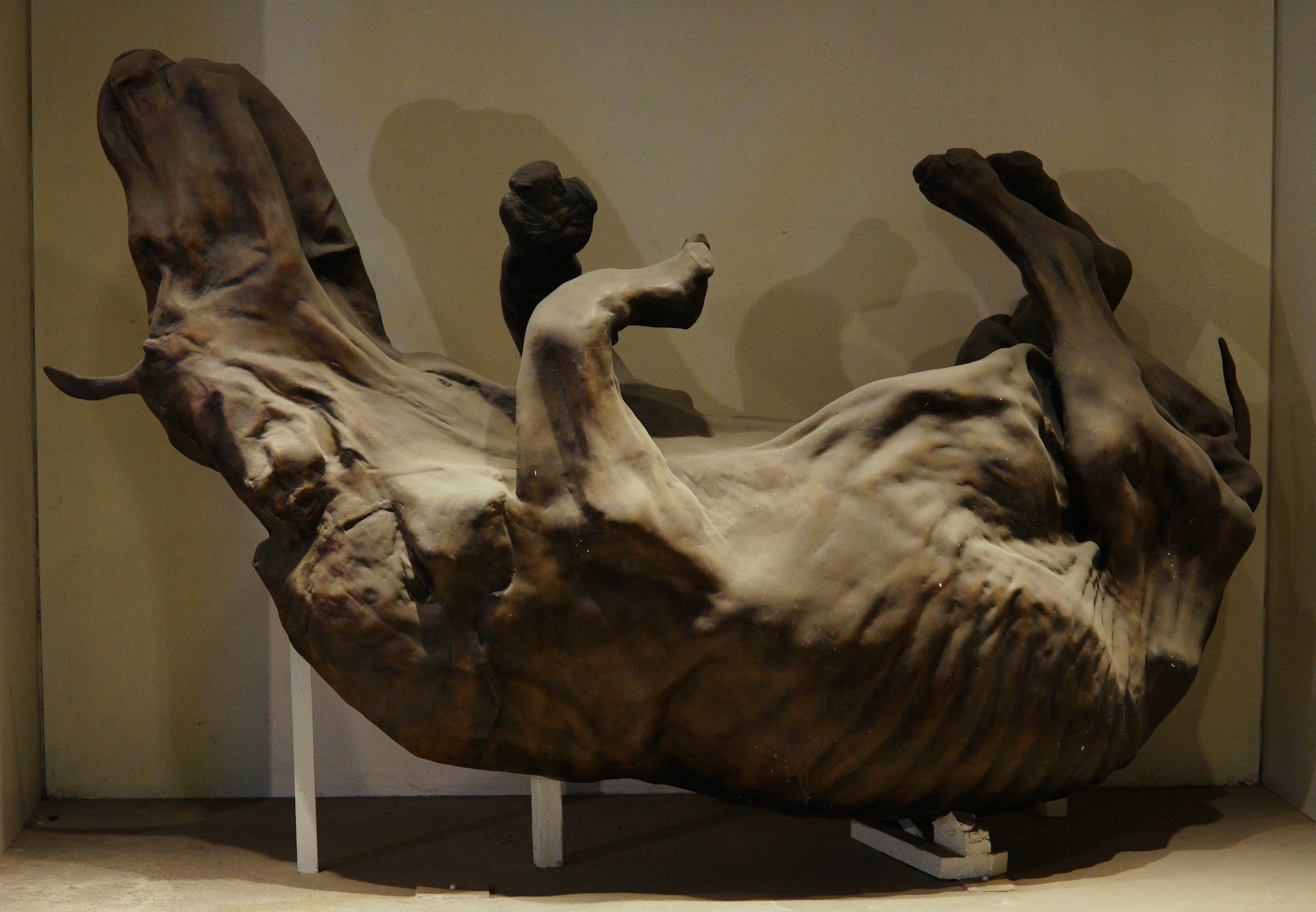 Rinoceronte lanoso mummificato. Credit: Wikipedia