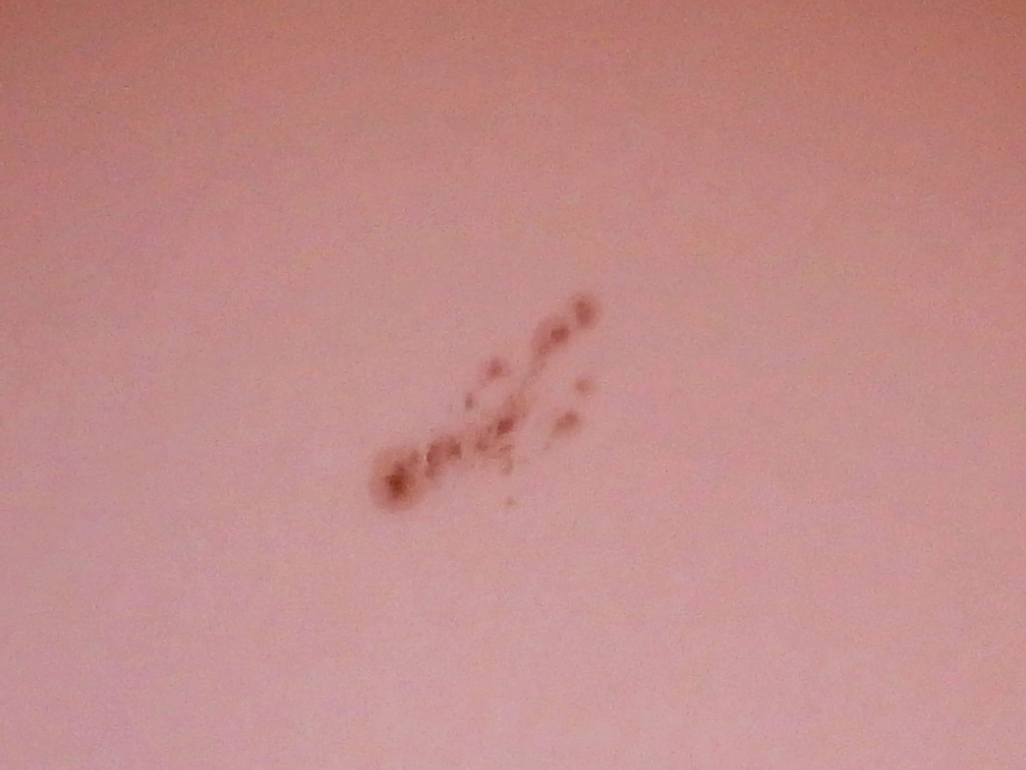 La macchia solare AR 4246. Credit: Andrea Centini