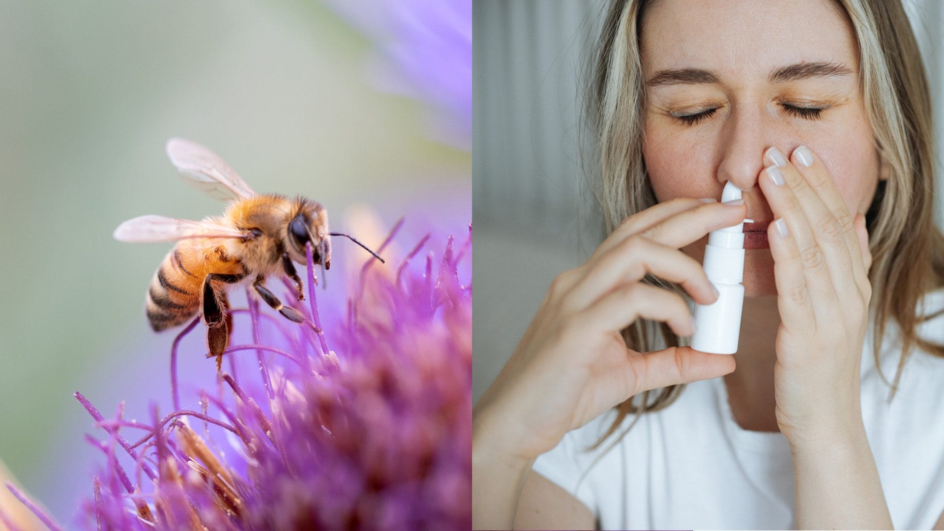 Shock anafilattico, addio alle iniezioni salvavita? Presto in Italia lo spray nasale: "È più rapido"