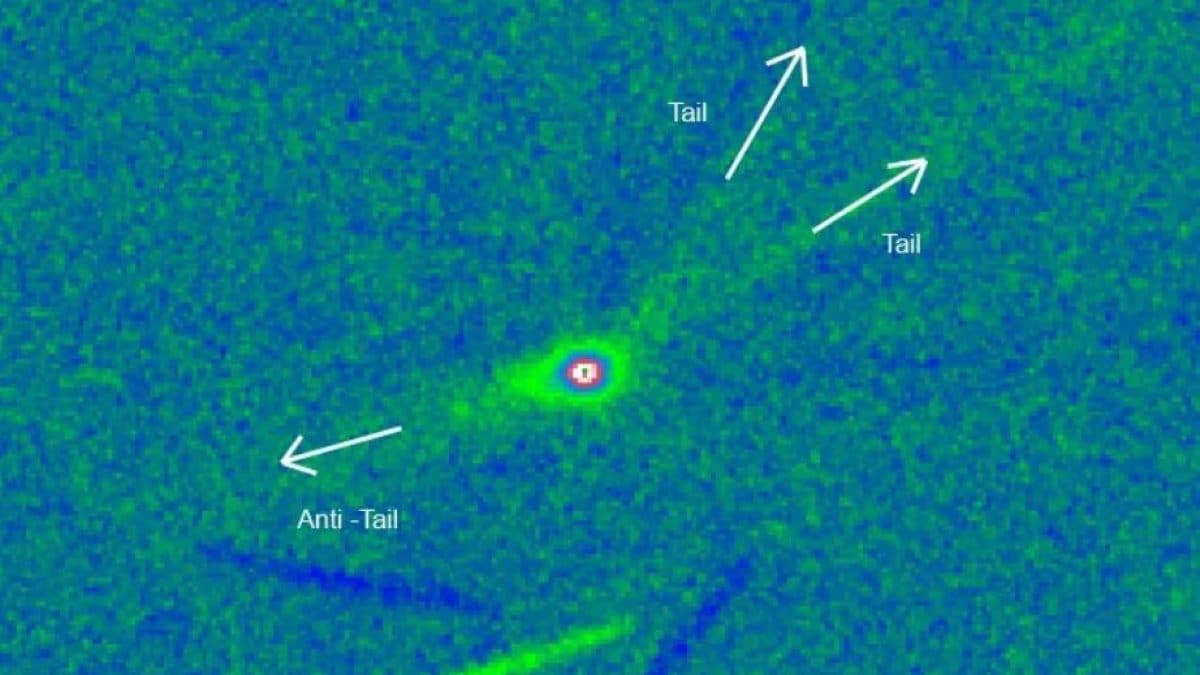 I getti di 3I/ATLAS in una nuova immagine catturata dalla Thailandia. Secondo Avi Loeb le code sono difficili da spiegare per una cometa naturale. Credit: Teerasak Thaluang,