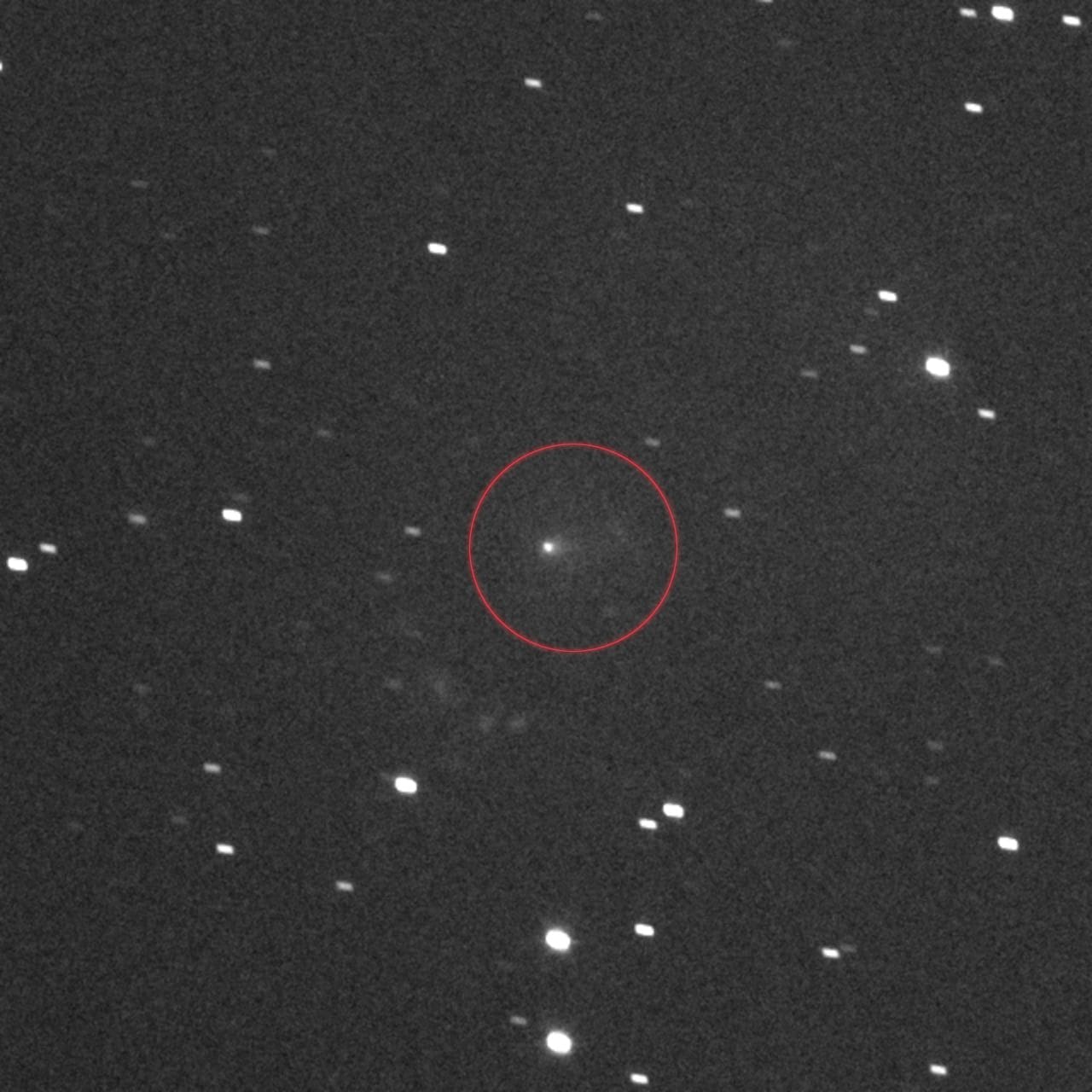3i/ATLAS ripreso dalla sonda Lucy. Credit: NASA/Goddard/SwRI/JHU–APL