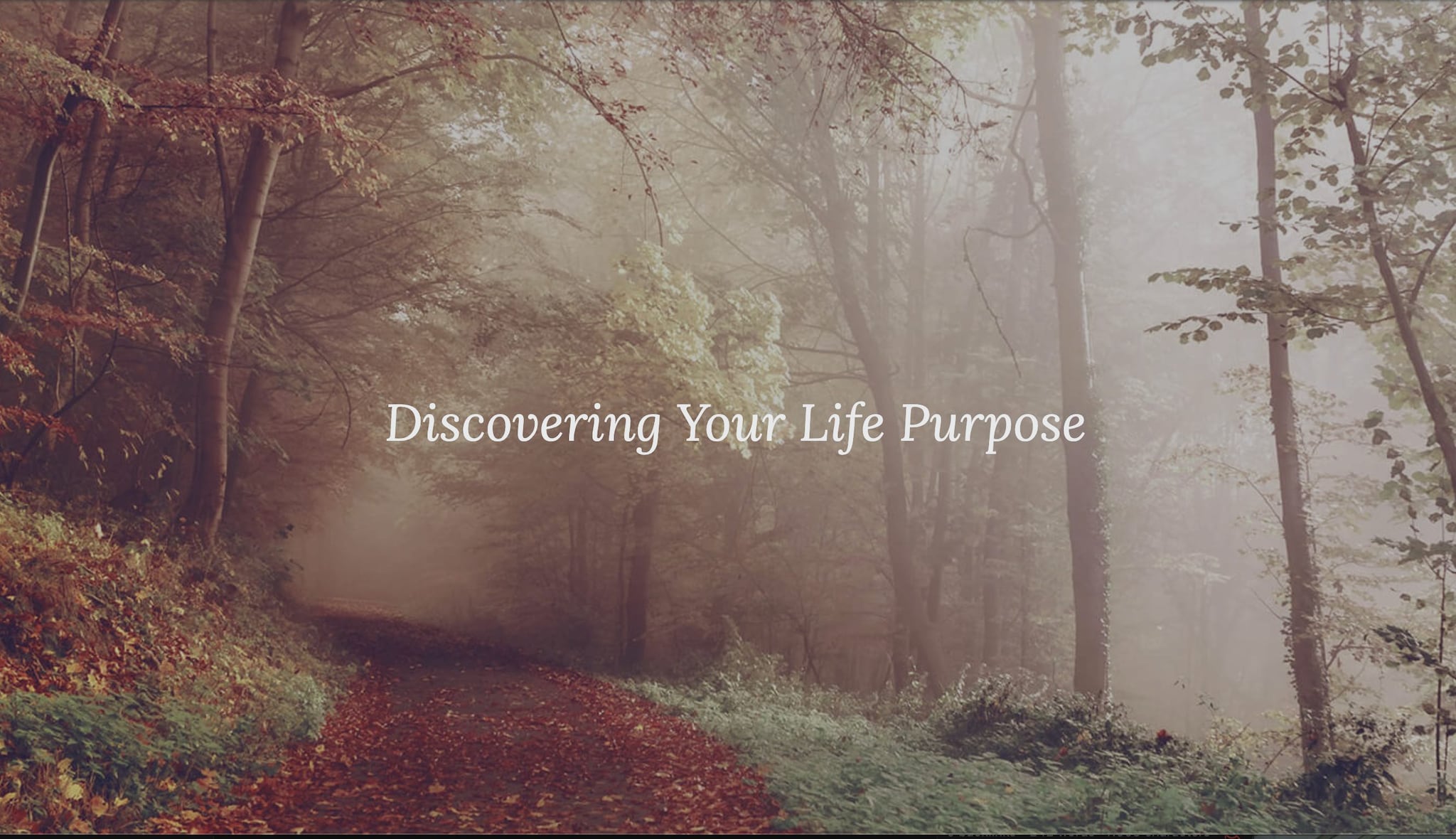 Caso famiglia nel bosco, il lavoro della madre Catherine in rete: il sito per le Letture Energetiche