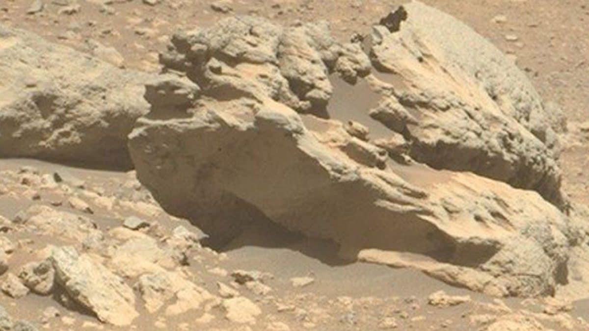 La roccia "Phippsaksla" scoperta dalla NASA su Marte: si trova nell’area di di Vernodden, all’esterno del cratere Jezero/ Credit: NASA/JPL–Caltech/ASU