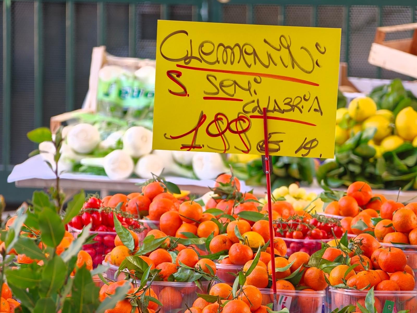 FANPAGE.IT | Clementine | Zoom 10X