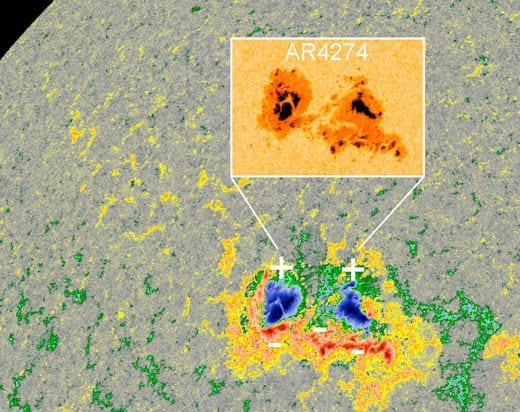 L’anomala configurazione magnetica della macchia solare AR 4274, che sfida la legge di Hale. Credit: NASA/SDO/spaceweather.com