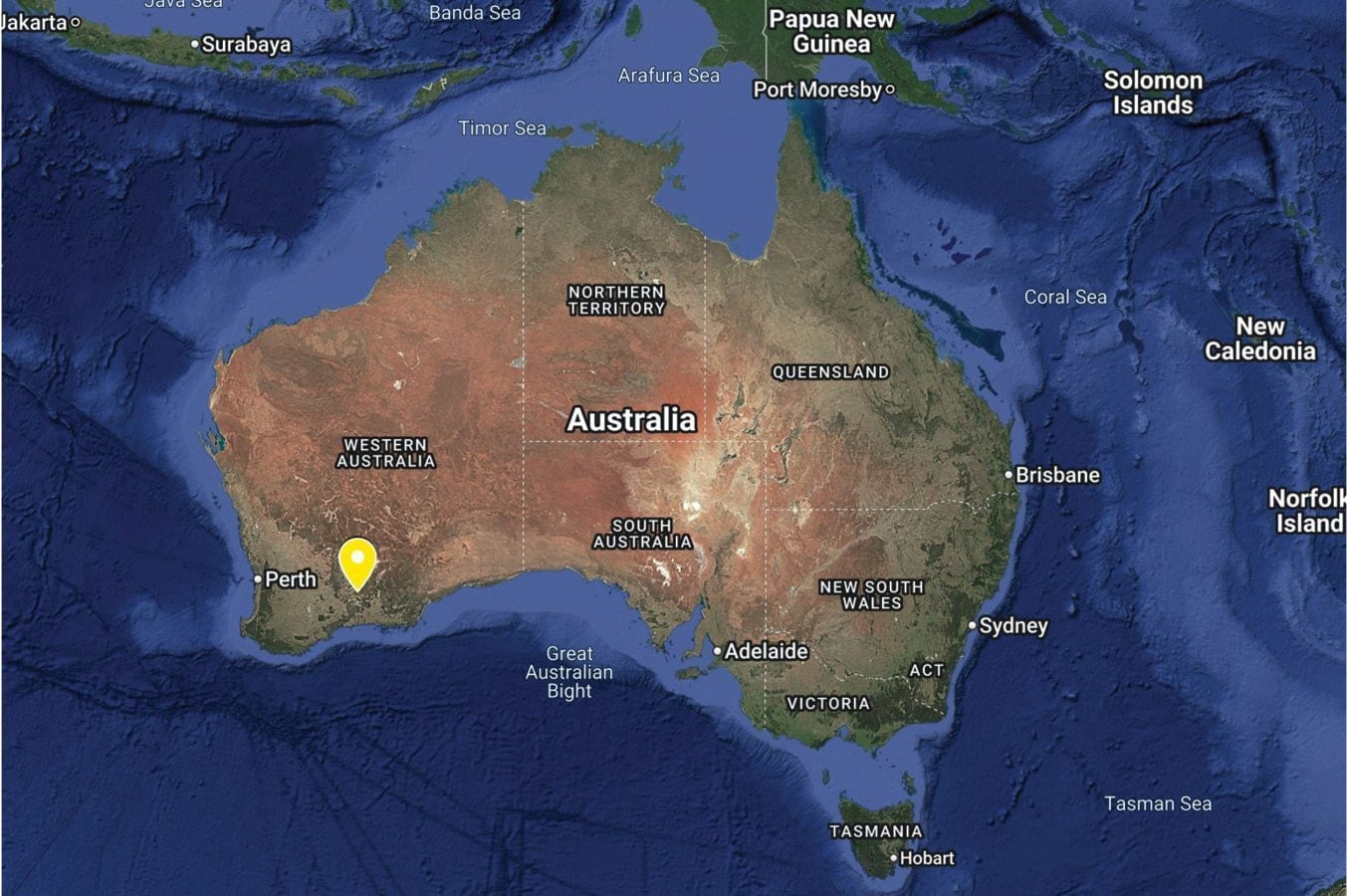 La zona dell’Australia Occidentale dove è stata scoperta l’ape Lucifero / Credit: Curtin University